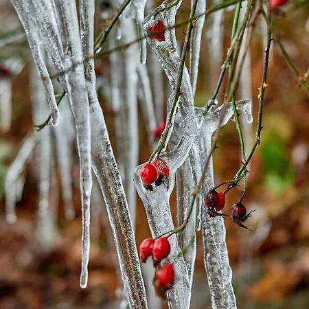 Casa vacanze Le Rocher Du Houffalize