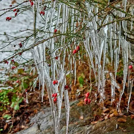 Le Rocher Du Casa vacanze *